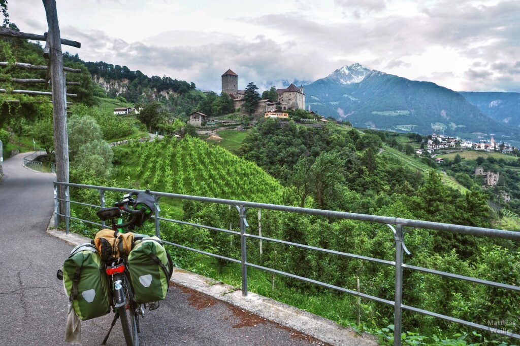 Schloss Tirol vor Weinbergen