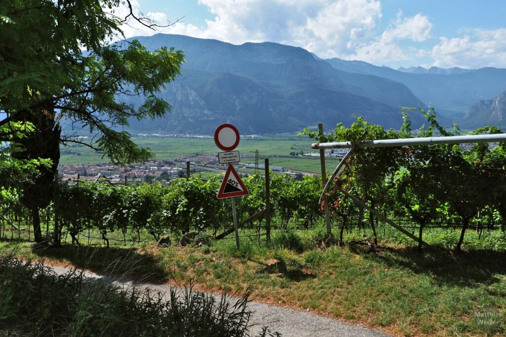 Gefällschild 40 % Etschtalweinberg