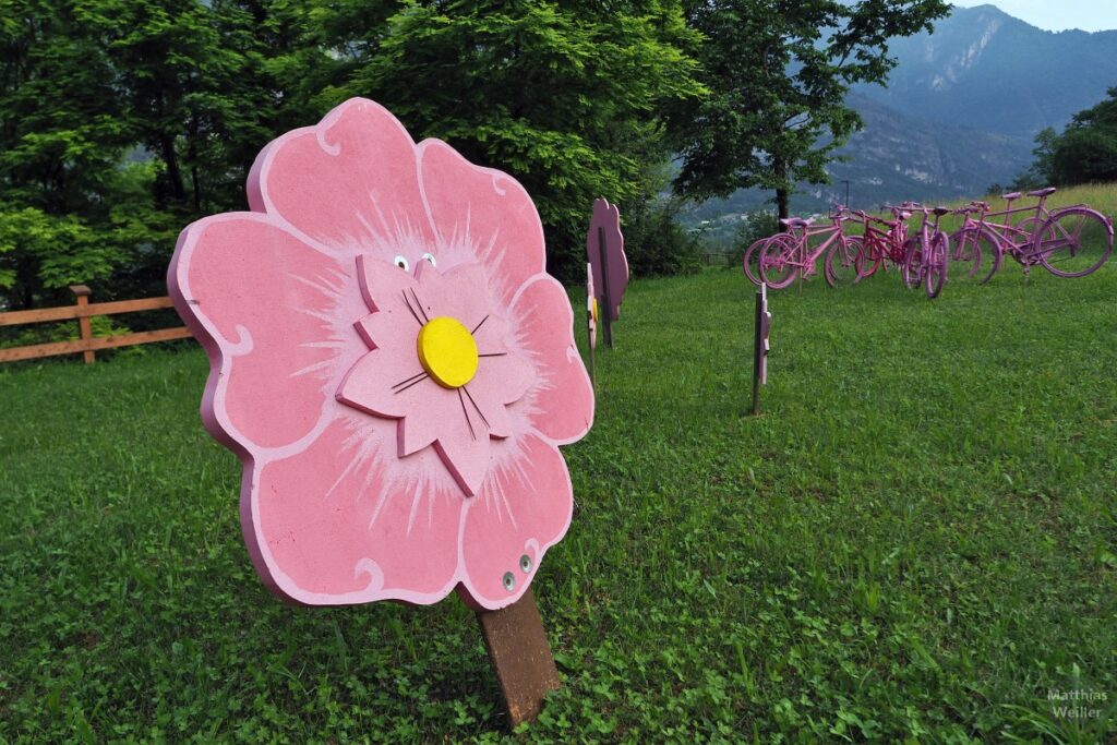 Rosa Blume, rosa Dekoräder auf Rastwiese