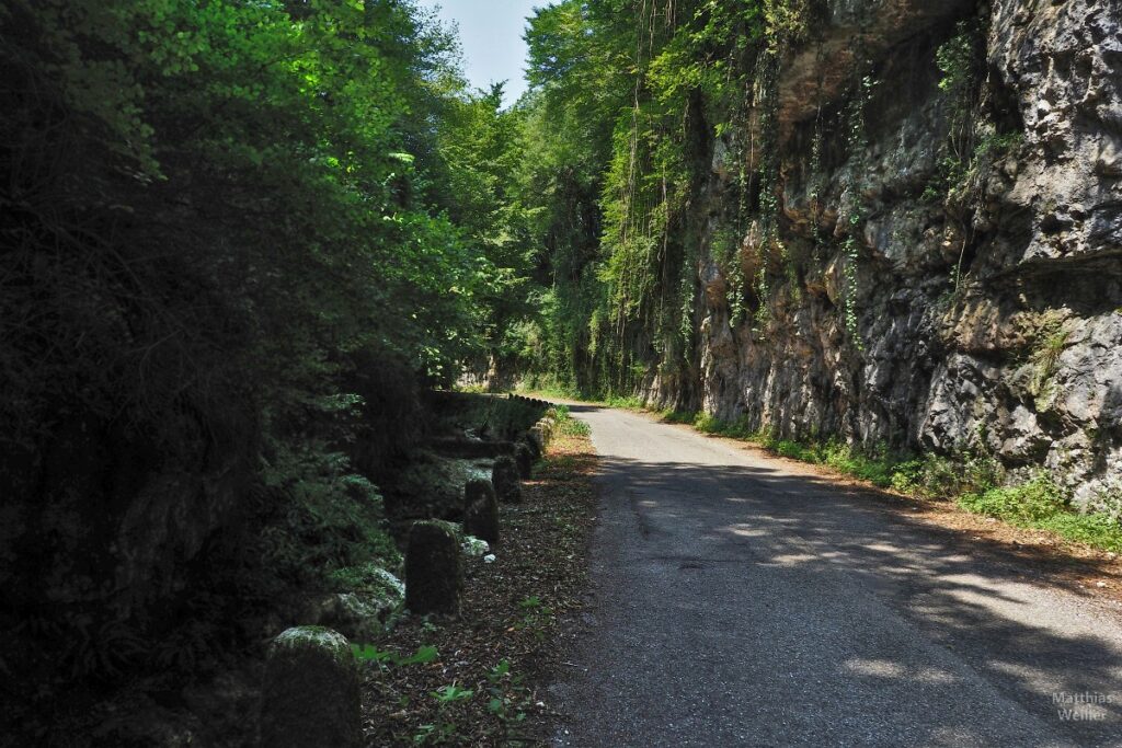 Schluchtstraße mit Schlingpflanzen