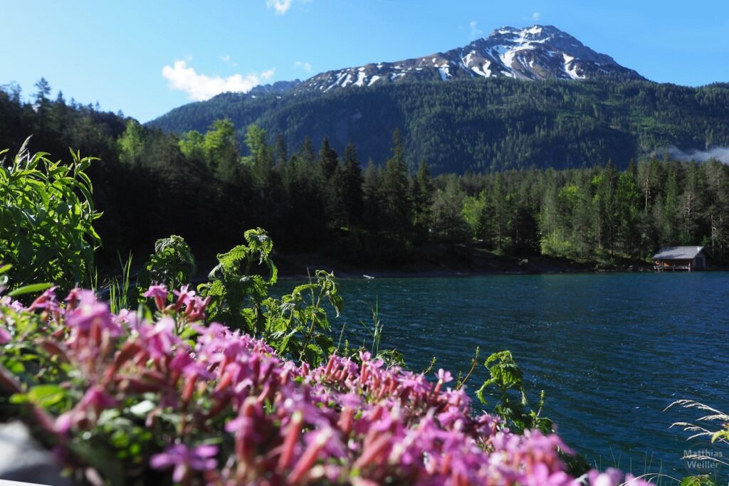 Blindsee mit rosa Blumen und Berggipfel