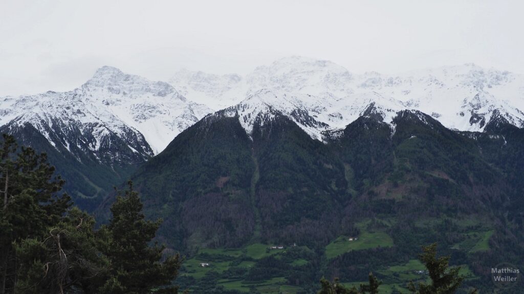 Schneebedeckte Gipefelkette der Ortler-Alpen