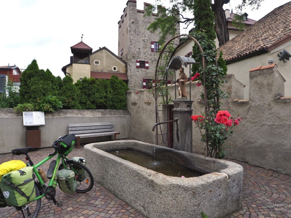 Burg Latsch, Velo, Brunnen, Rosen