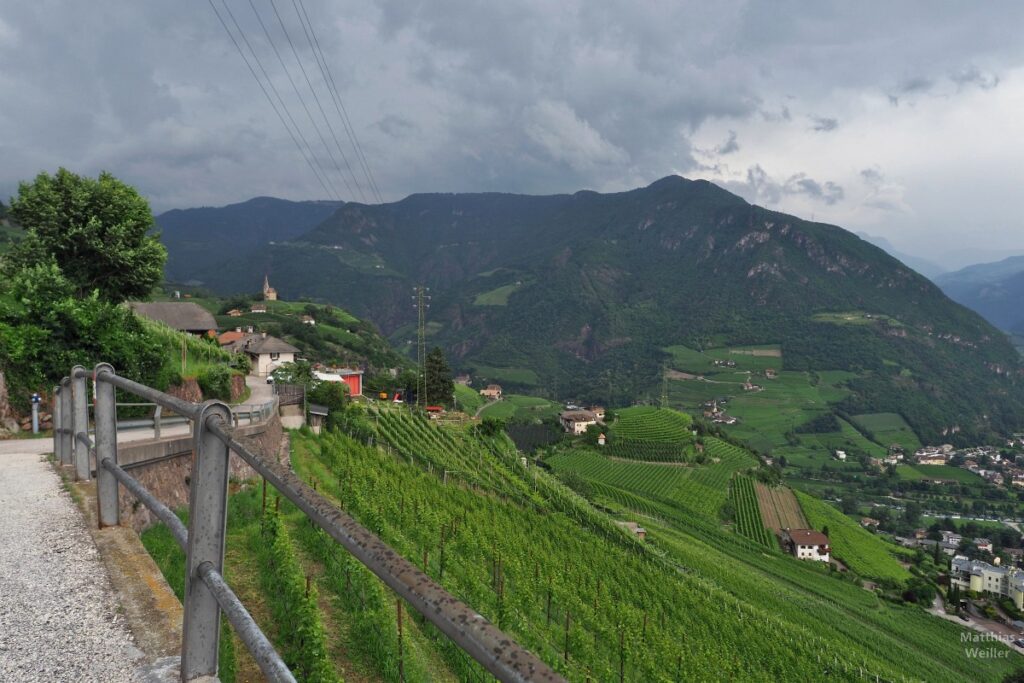 Blick über Weinberge bei Bozen