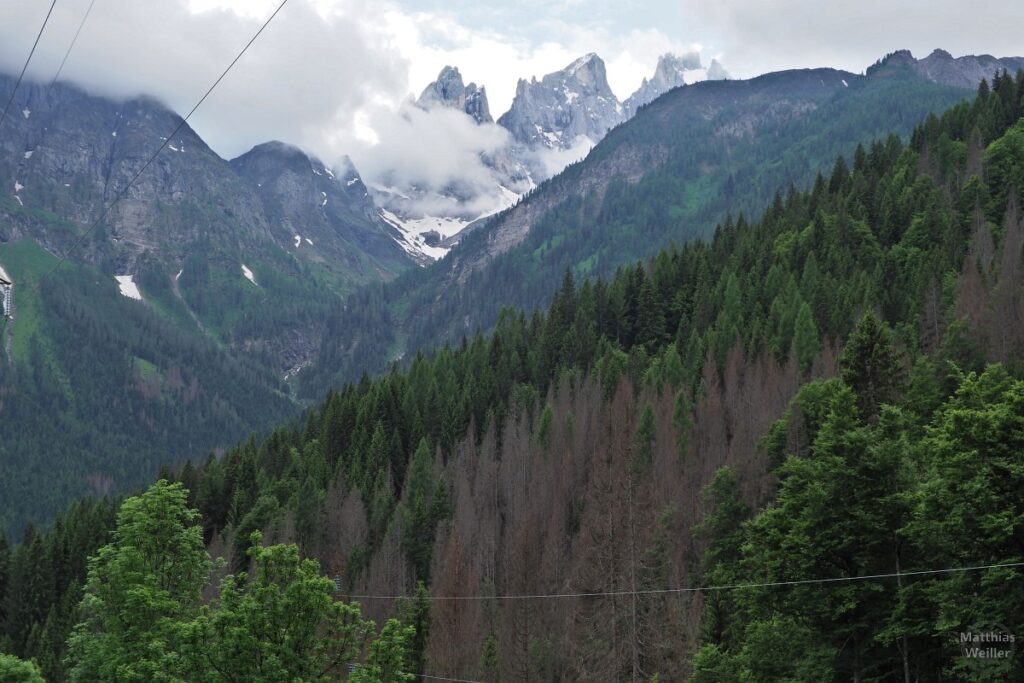 Bergpanorama Passo San Pellegrino Ost