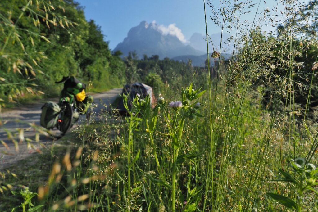 Gras vor Velo und ferner Gipfelkulisse