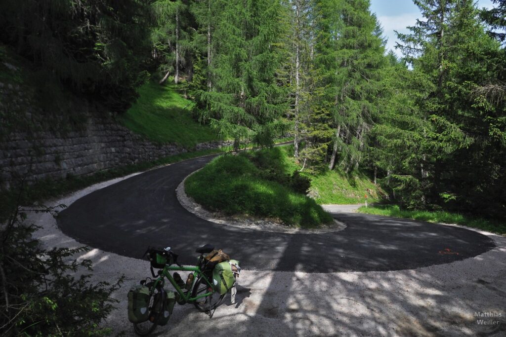 Spitzkehre im Lärchenwald, mit Velo