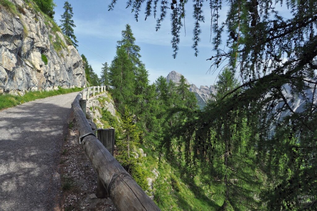 Auffahrt Monte Rite mit Holzleitplanke, Lärchen und Bergkulisse