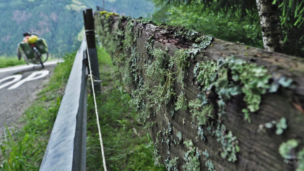 Lattenzaun mit Flechten, neben Leitplanke, Velo im Hintergrund