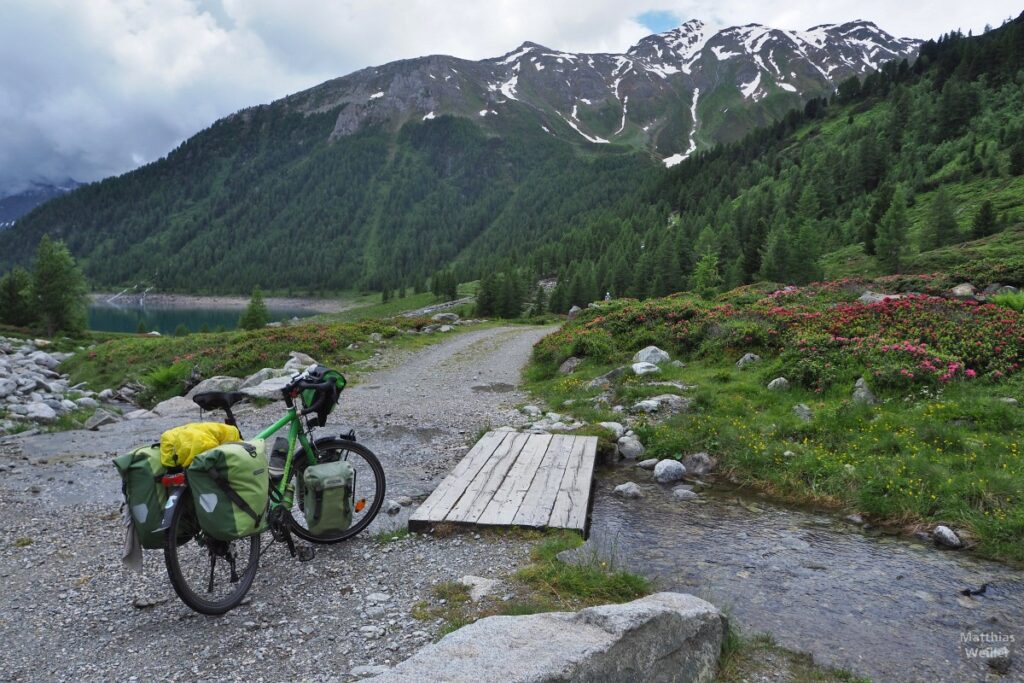 Velo an Bachfurt mit Alpenrosen und Neves-Stausee