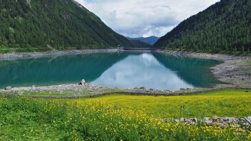 Neves-Stausee mit gelb-grüner Blumenwiese