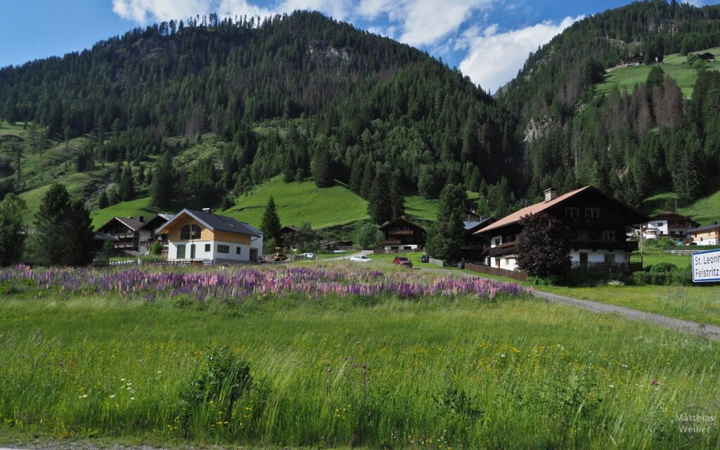 Defereggental mit Blumenwiese und Berghäusern