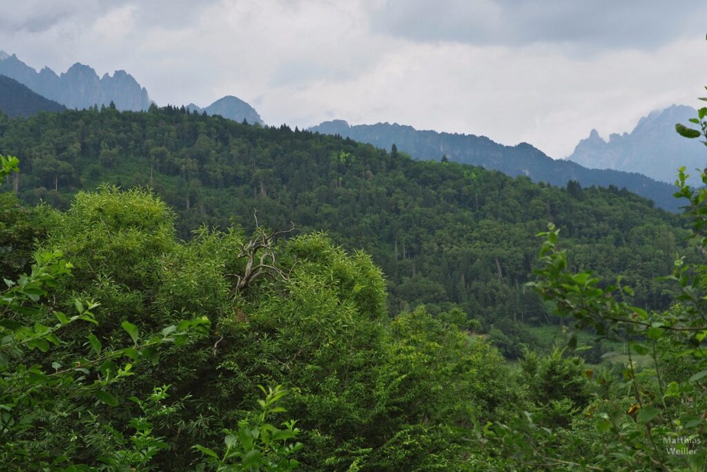 Waldhügel und Bergkette am Passo Croce d'Aune Südost