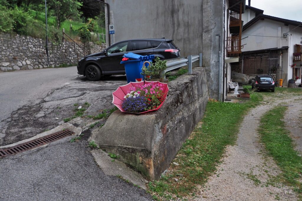 Parkplatz/Haus in Kurve mit geöffneten Regenschirm auf dem Kopf als Blumenschale