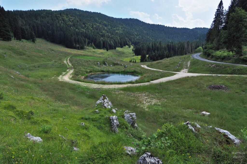 Karstige Almlandschaft mit Weide, Wald und runder Viehtränke