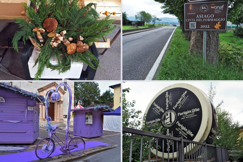 4er-Collage Pilze in Korb mit Koniferenzweigen, Straße mit Schild "Asiago - Città del Formaggio", Herzbogen, Hütten, velo, Teppich - alles in lila, Skulptur Riesenkäselaib