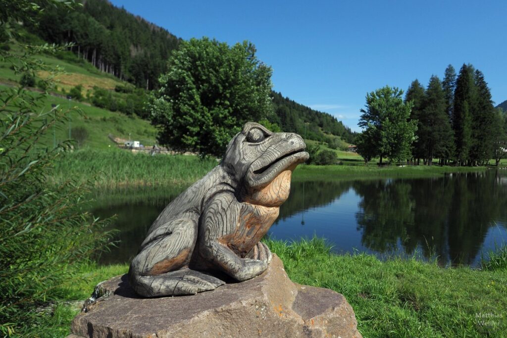 Holzfrosch vor Lago delle Buse