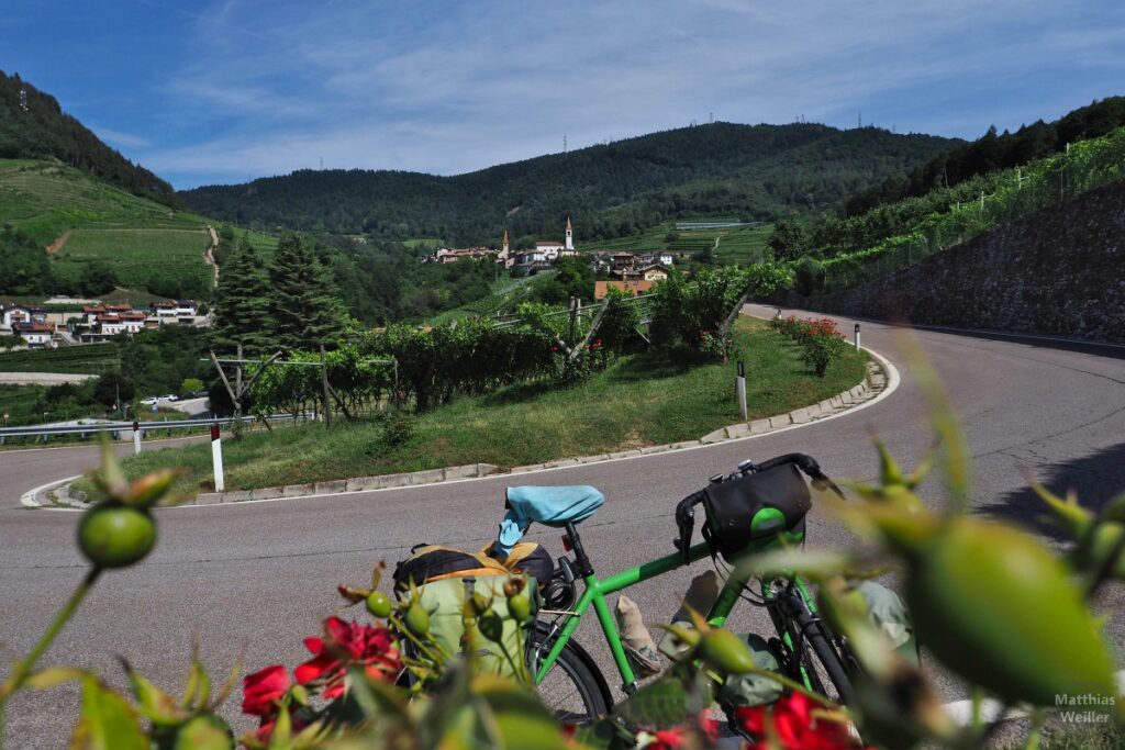 Serpentine im Weinberg, mit Faedo im Hintergrund, mit Velo