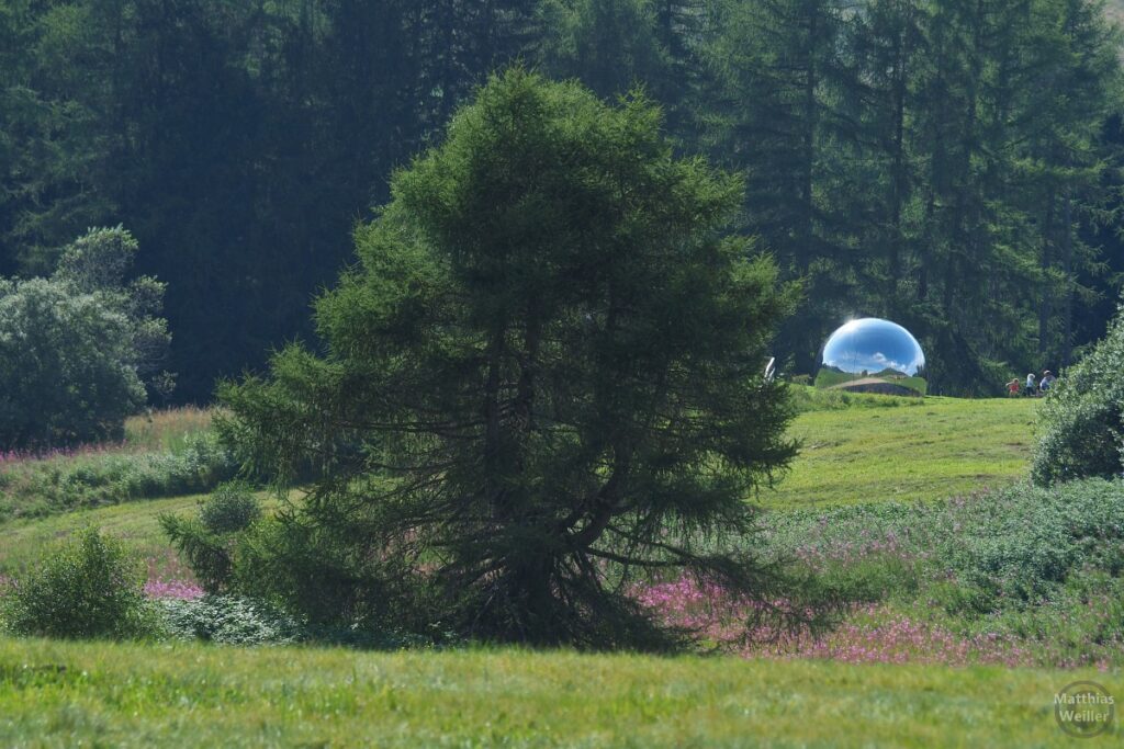 Spiegelkugel in Bergwiese