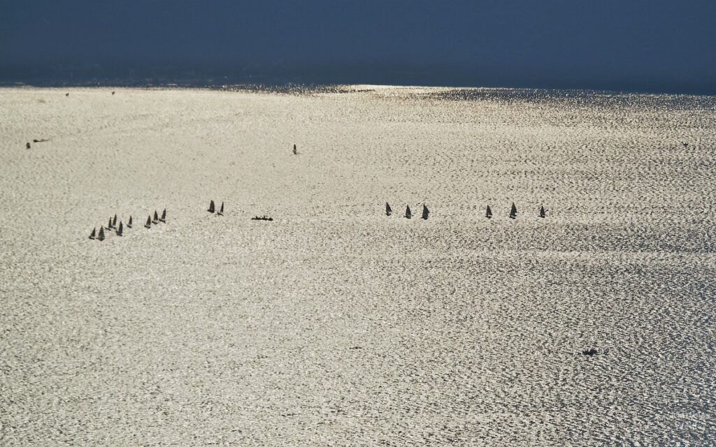 Segelboote auf glitzernden See