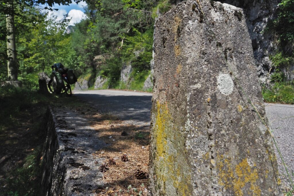 Makroaufnahme Leitstein, Velo im Hintergrund