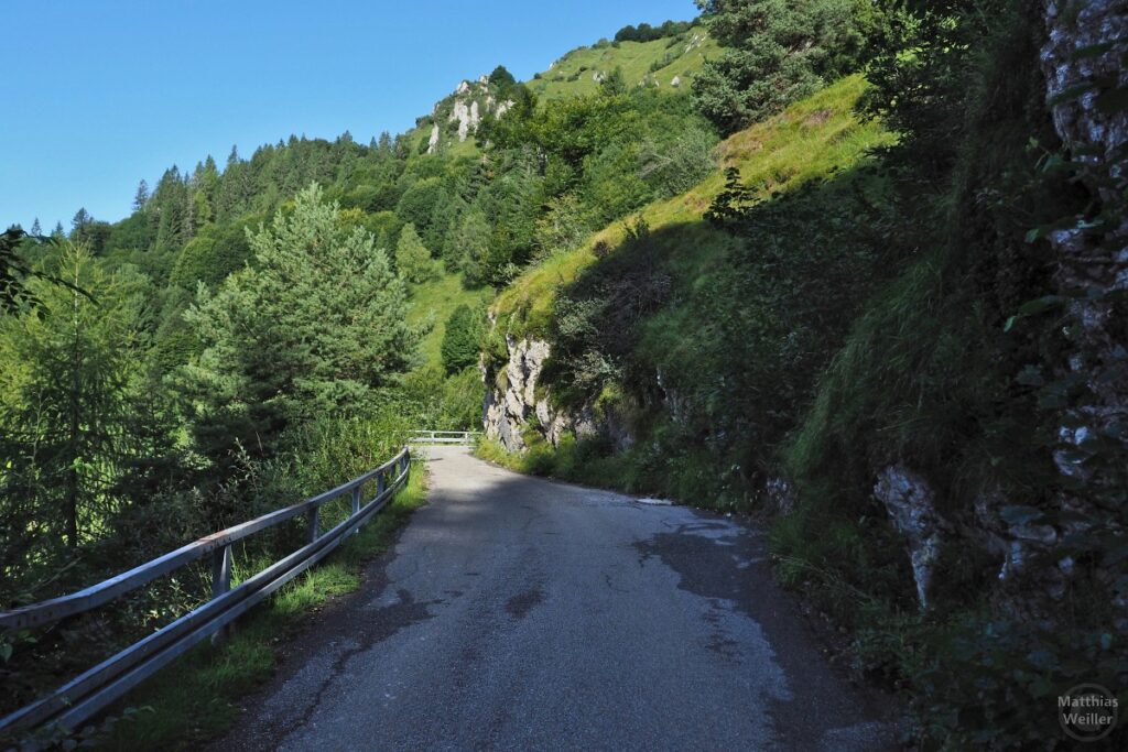 Bergstraße am Berghang mit viel Grün