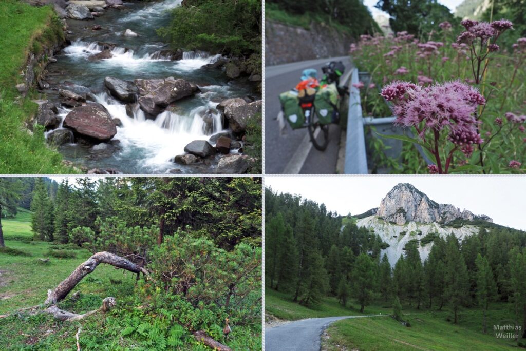 4er-Collage mit Kaskade, BLumenam Straßenrand mit Velo, krumme Kiefer auf Bergwiese, Berggipfel über Straße/Bergwald