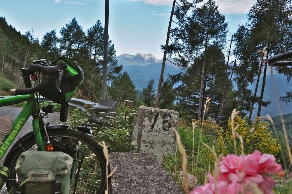 Velo an Leitplanke mit Kilometerstein, Blume, Blick auf Bergwelt