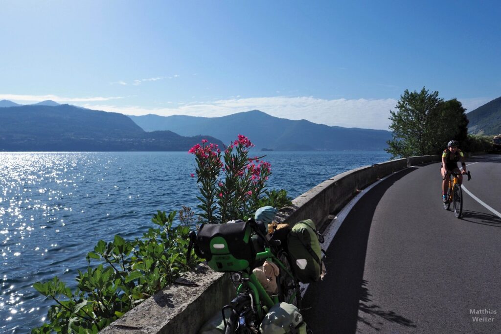 Kurve am Seeufer, Rennradler, mit Velo bei Blumen