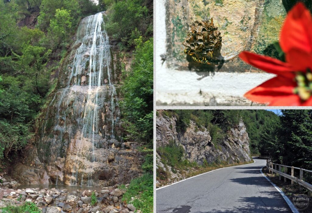 3er-Collage mit Cascata dello Sprizzotolo, Wespenest neben Blume, Straße an Felsen