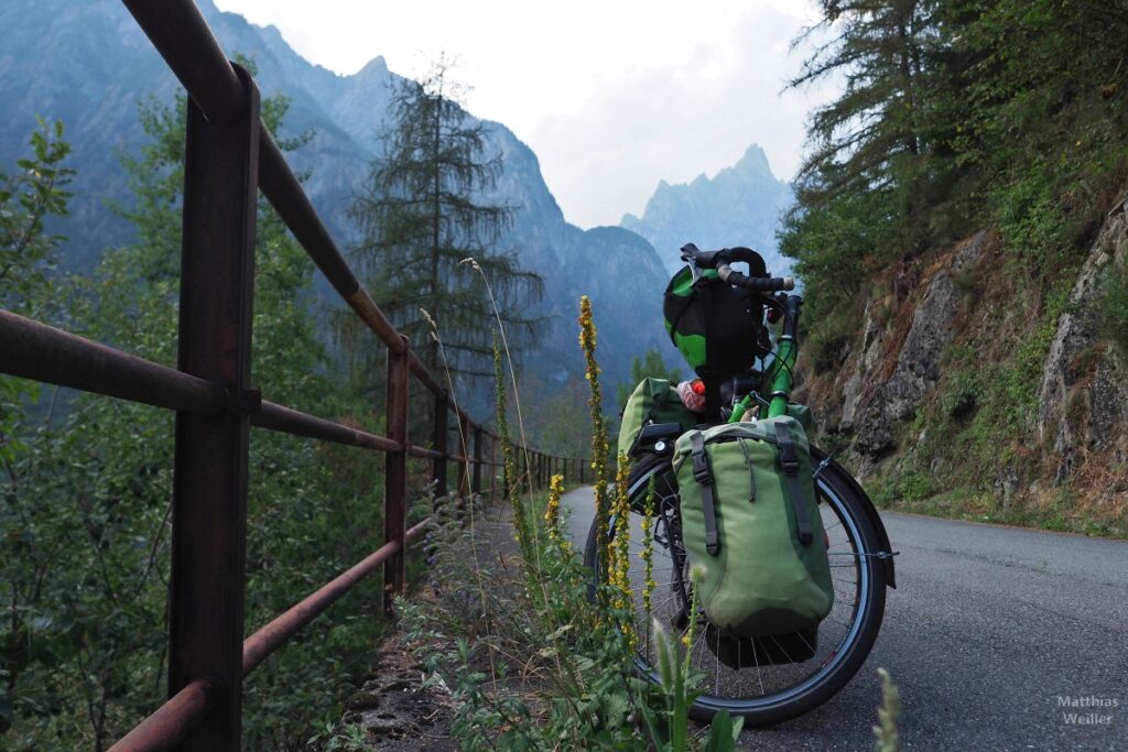 Froschperspektive Velo mit gelber Bergblume und Bergkulisse