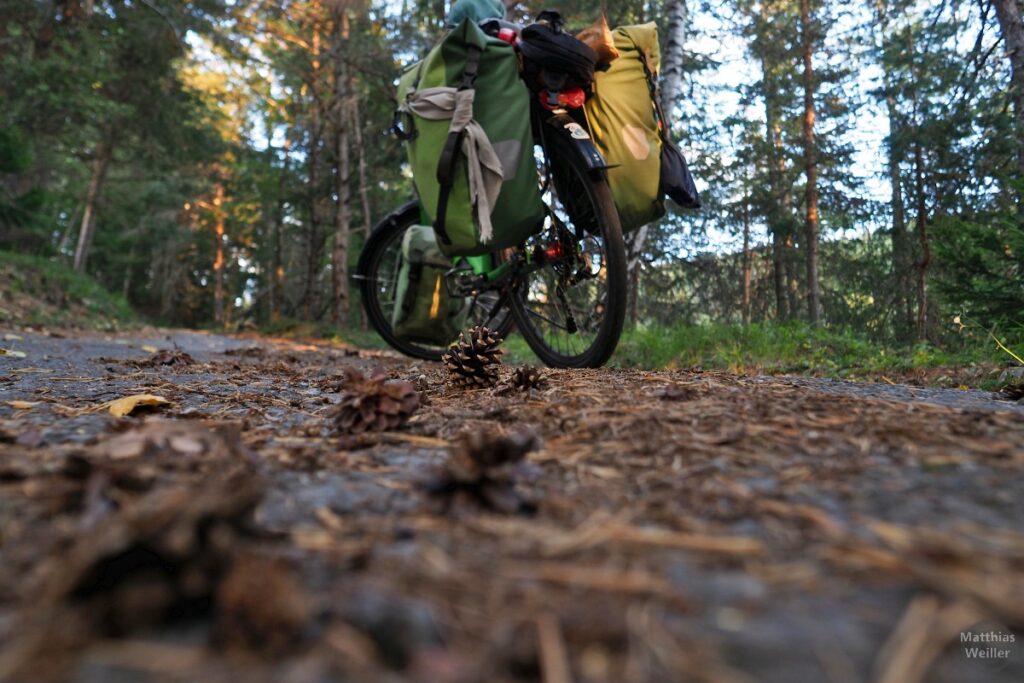 Straße übersät mit Kiefernzapfen und -nadeln, mit Velo