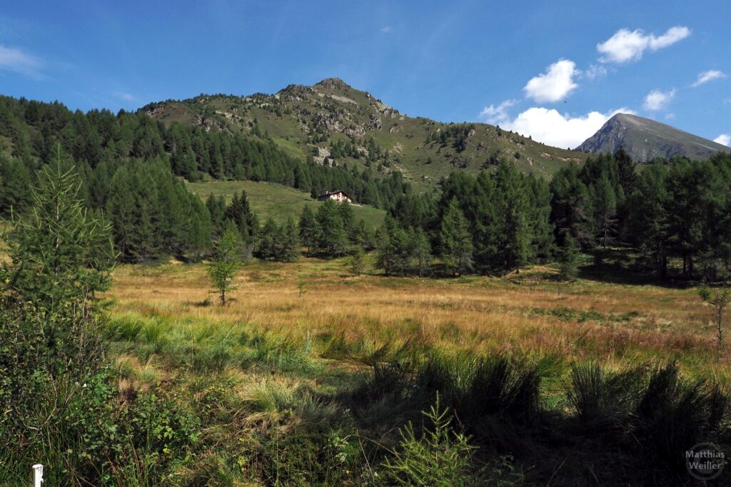 Hochmoorwiese mit Bergkulisse beim Passo del Mortirolo