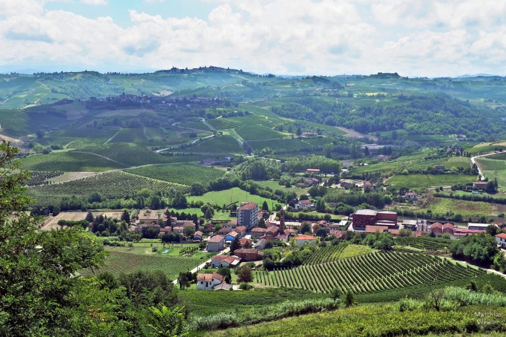 Panorama von Mombaruzzo über die Weinhügel nach Quaranti