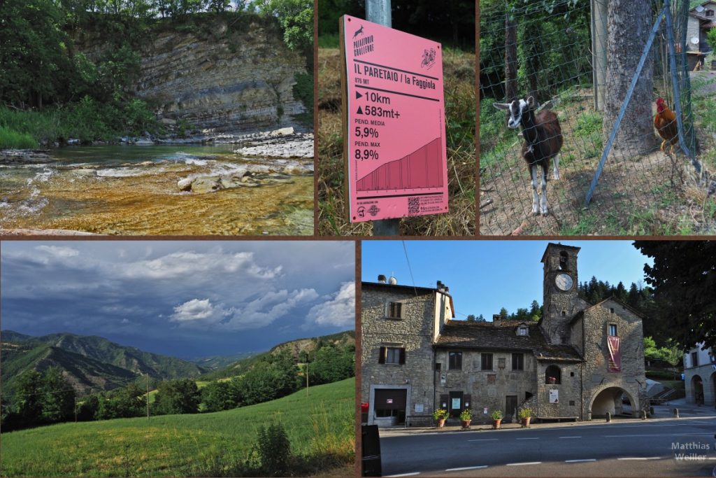 4er Collage vom Valico del Paretaio mit Palazzuolo-sul-Senio, Uferbruch am Lamone-Fluss, Ziegen/Hahn, Berglandpanorama, Steigungstafel Pass
