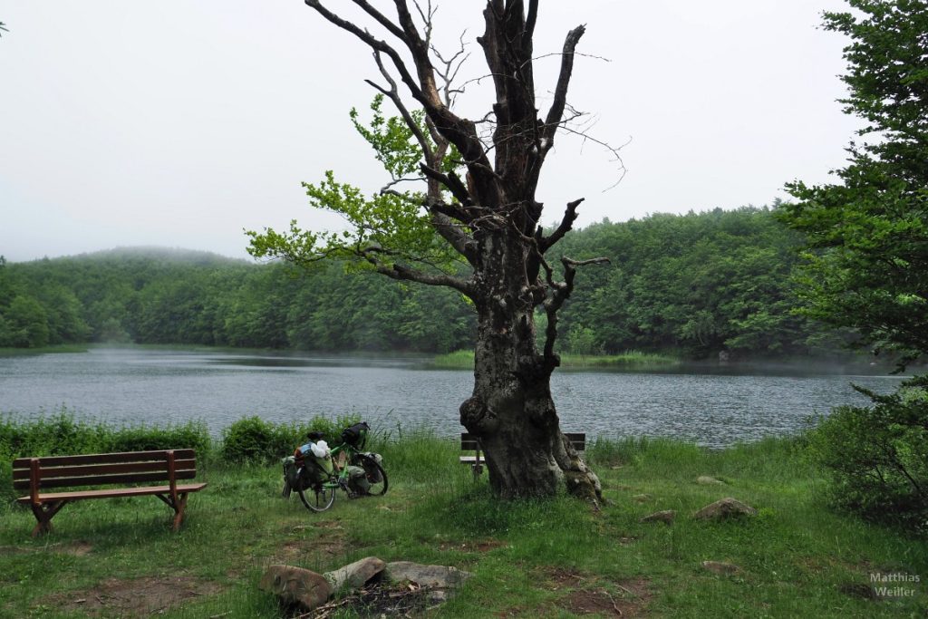 See mit altem Baum, Reisevelo und Bank